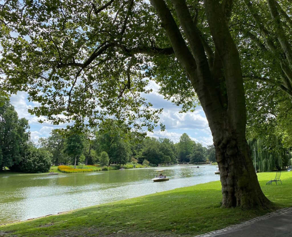 Picture of a Person Boating in a Lake in a Gorgeous Park in Karlruhe