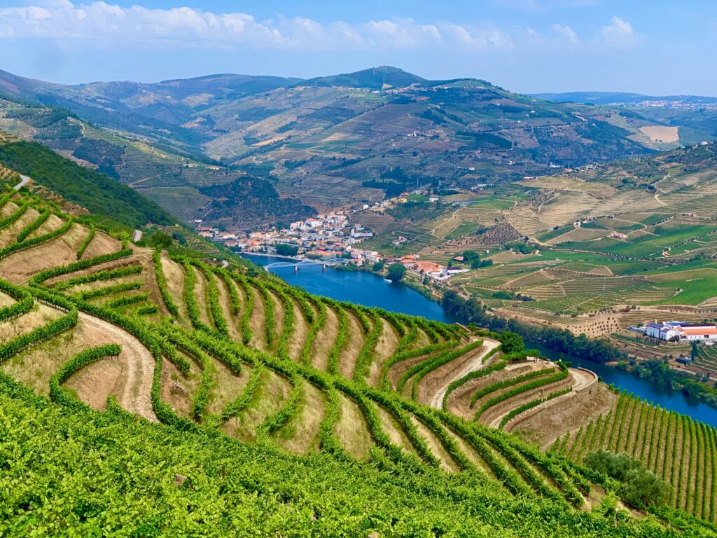 The picturesque Douro Valley vineyards, an example of the rural escapes available to those relocating to Portugal for a change of pace.